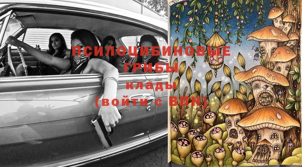 спайс Арсеньев